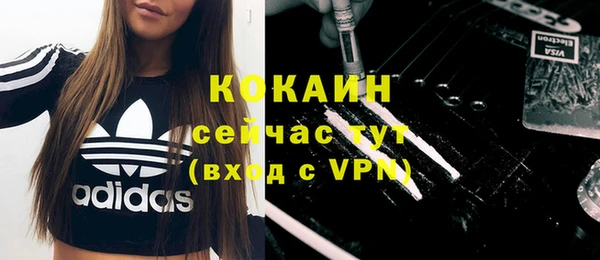 МДПВ Краснослободск