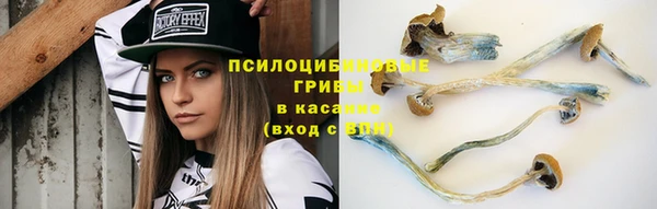 Альфа ПВП Лагань