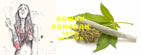 МДПВ Краснослободск