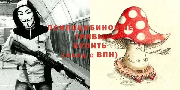 МДПВ Краснослободск